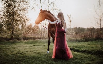 Sesja jeździecka-Małgosia & Ataman