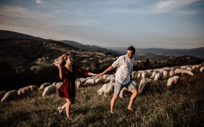 Sesja narzeczeńska w górach z owcami